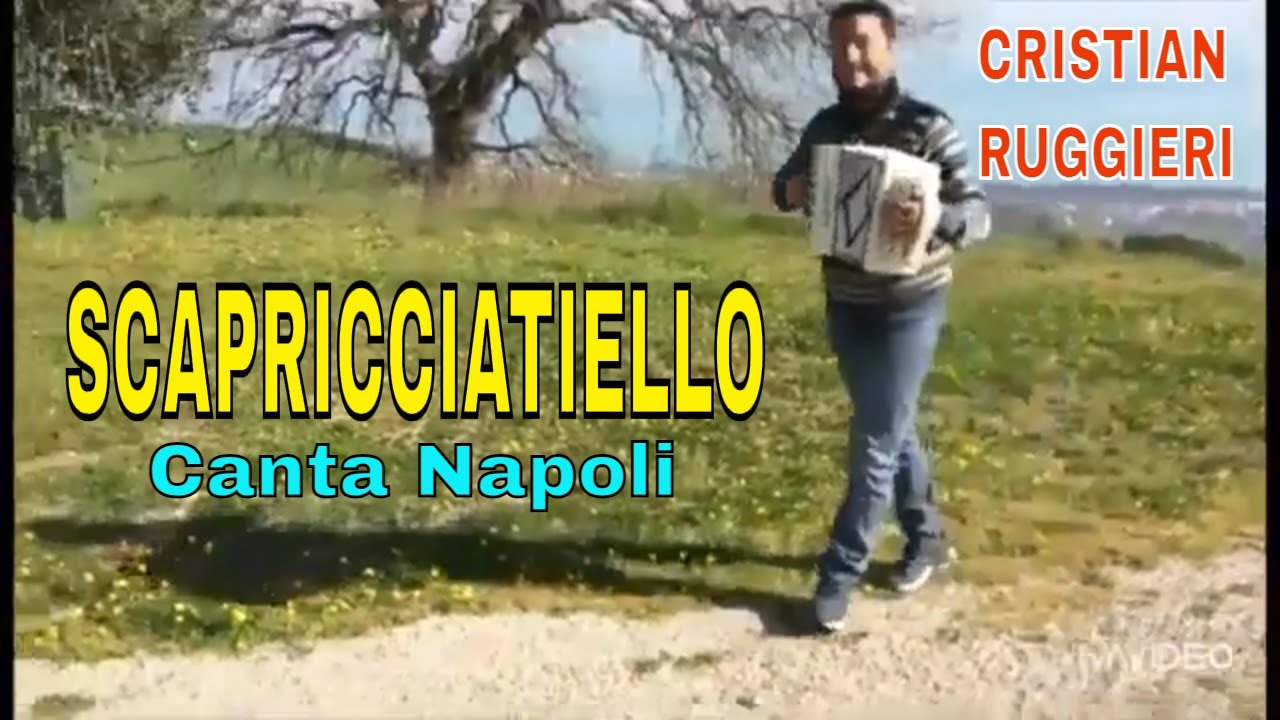 SCAPRICCIATIELLO (cover) #folkmusic #organetto @cristian_musicista_dj