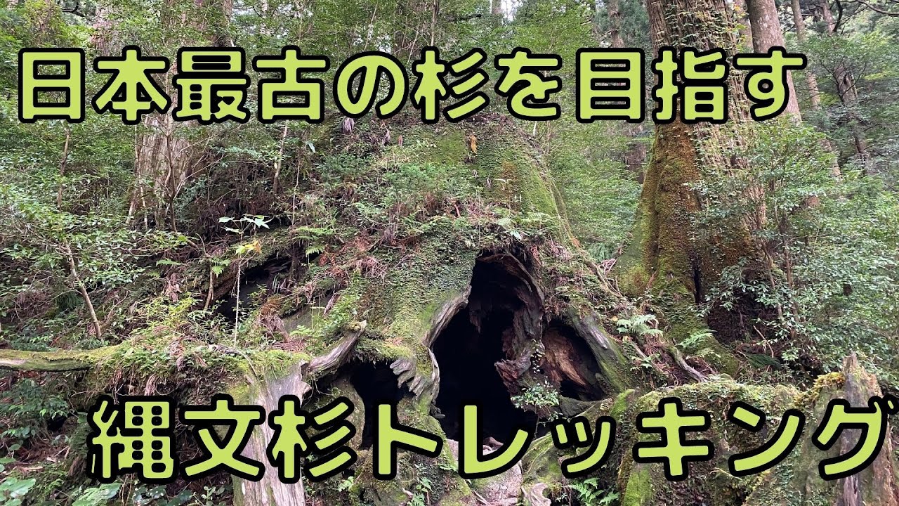 【解説付】世界遺産屋久島、縄文杉トレッキングコース(鹿児島県)