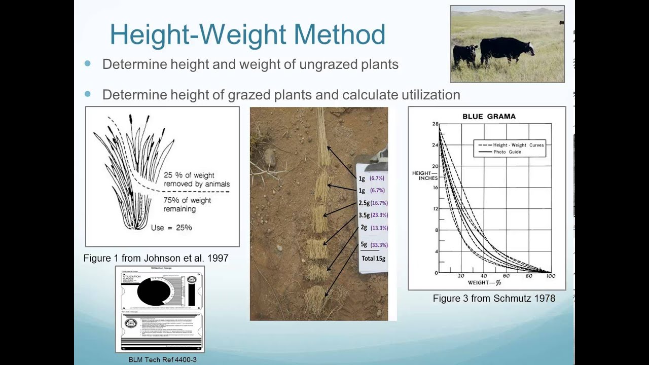 Measuring Utilization of Herbaceous Vegetation