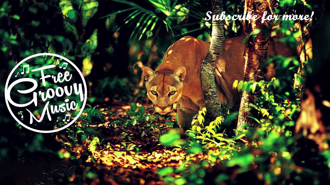 Joeyyy - WCKD (Original Mix) ► Jungle Terror ◄ [Free]
