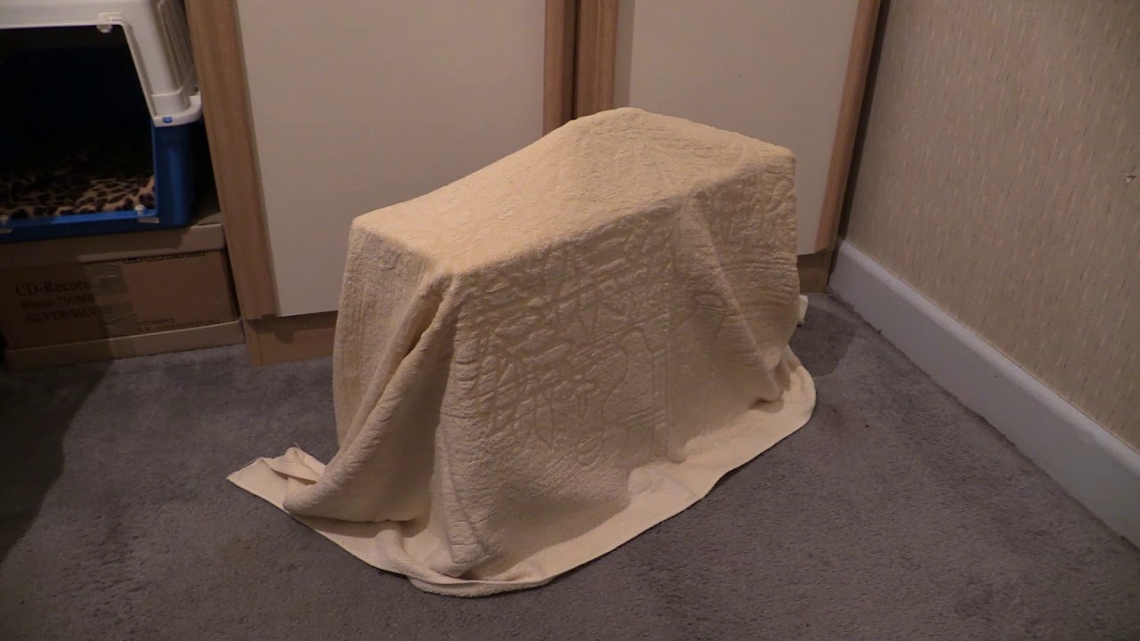 TRAILER : What could this be?