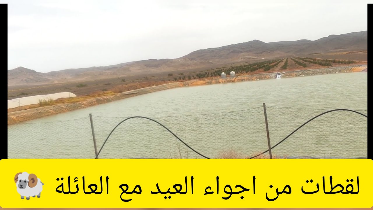 لقطات من اجواء عيد الأضحى في البلاد مع الجيران والعائلة