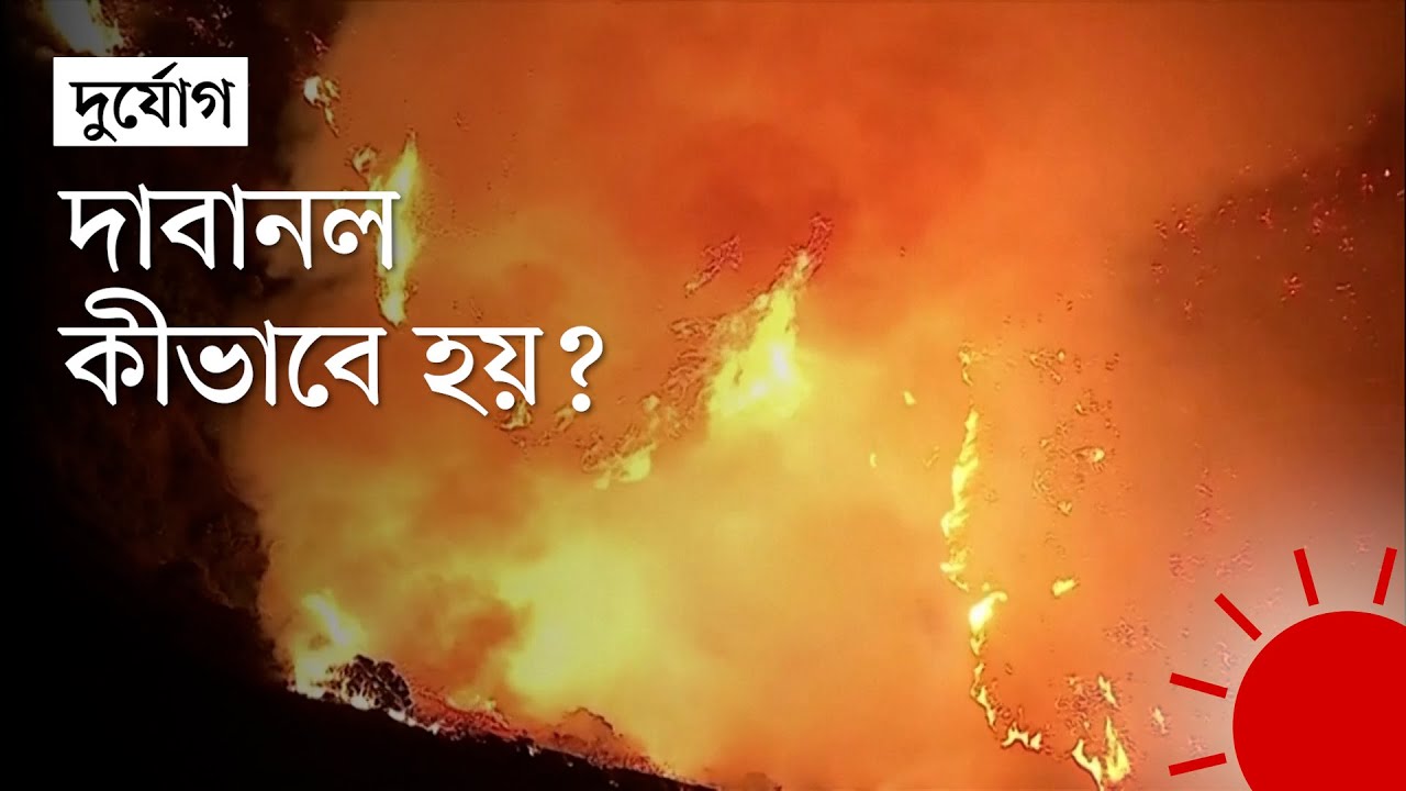 লস অ্যাঞ্জেলেসের দাবানল কীভাবে ভয়ংকর হলো | Los Angeles | Wildfire | US Wildfire 2025 | Prothom Alo