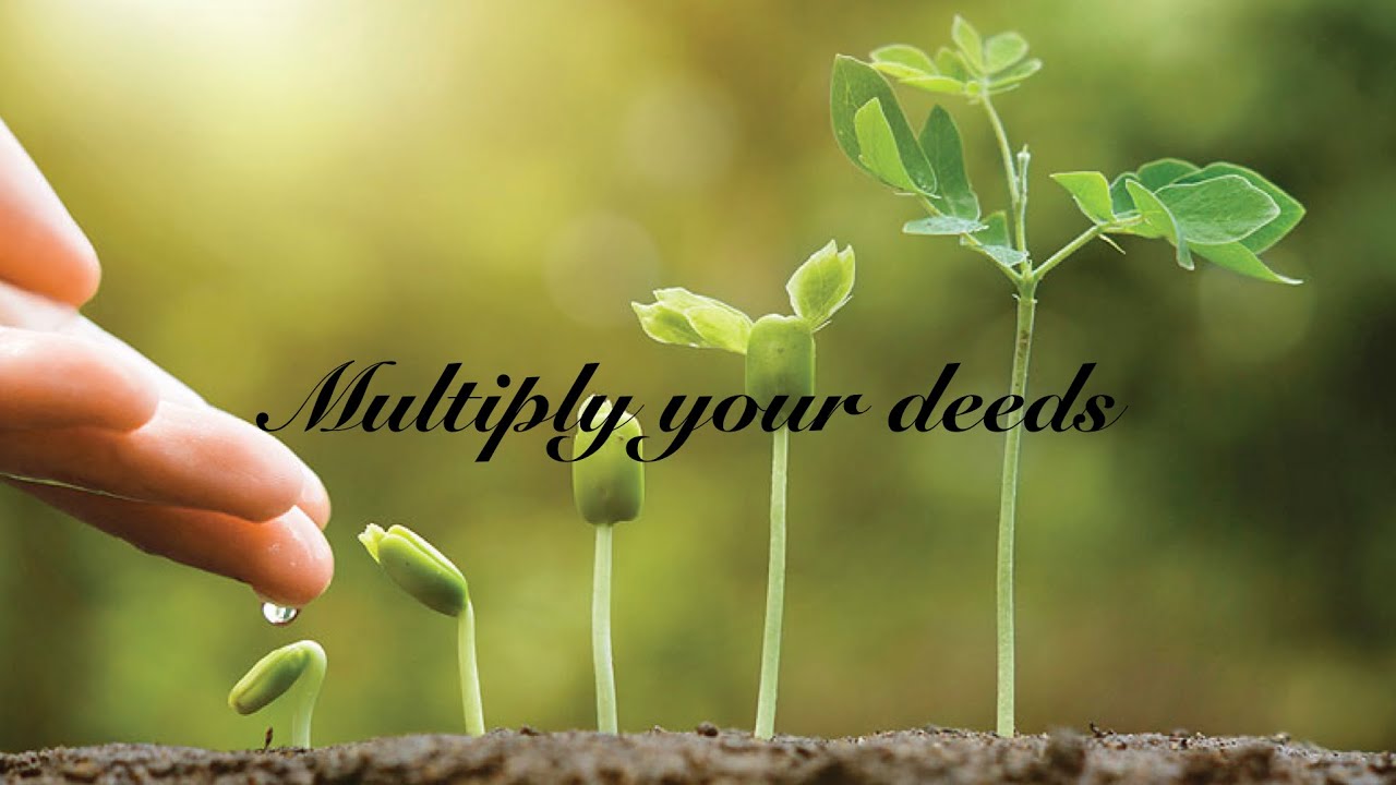 Multiply your deeds. By Mufti Tariq Zaman