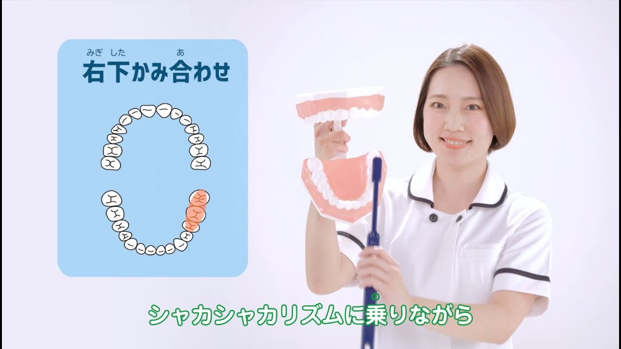 歯みがきのうた「イ～ハ～」動画【みがきかた編】/2分51秒/ライオン