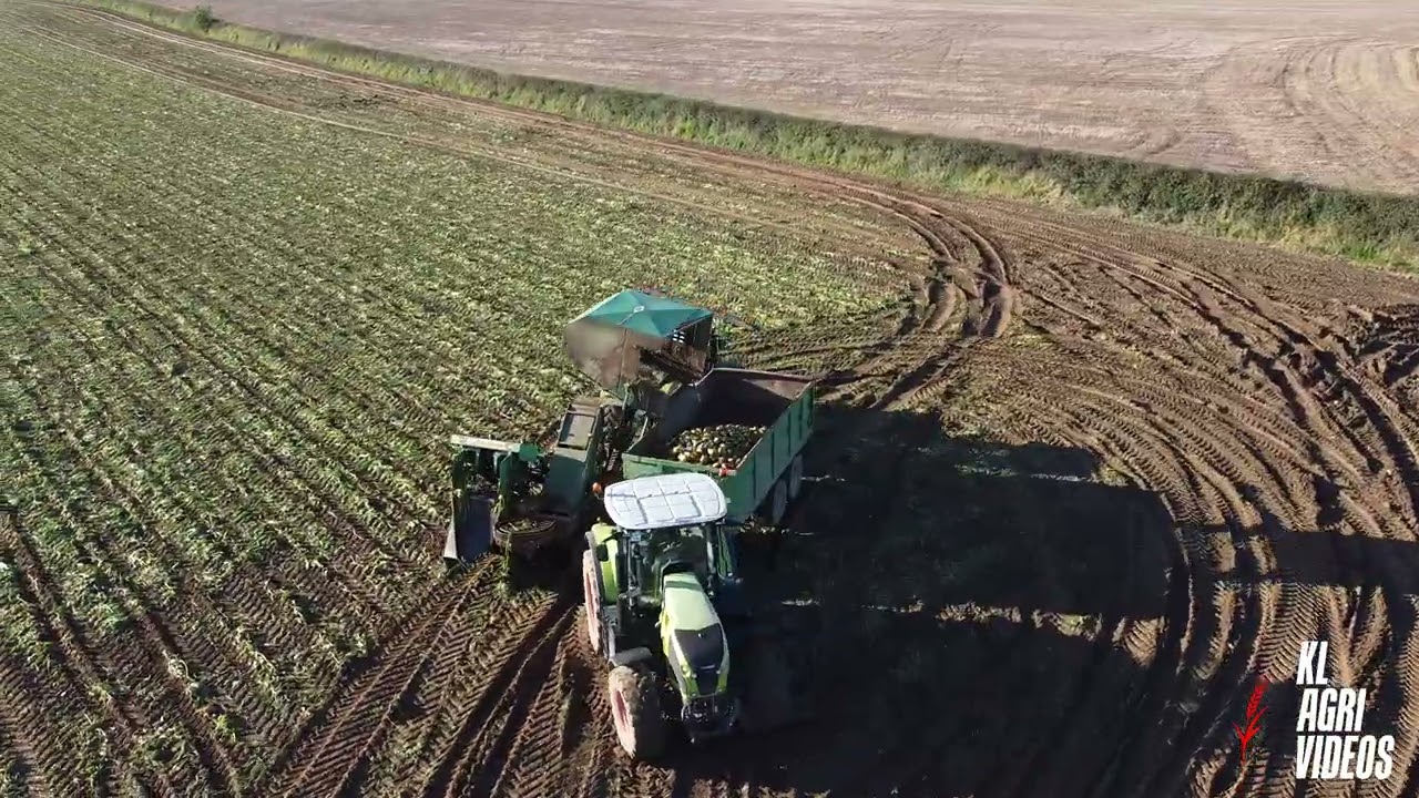 Pulling Beet - Moran Agri