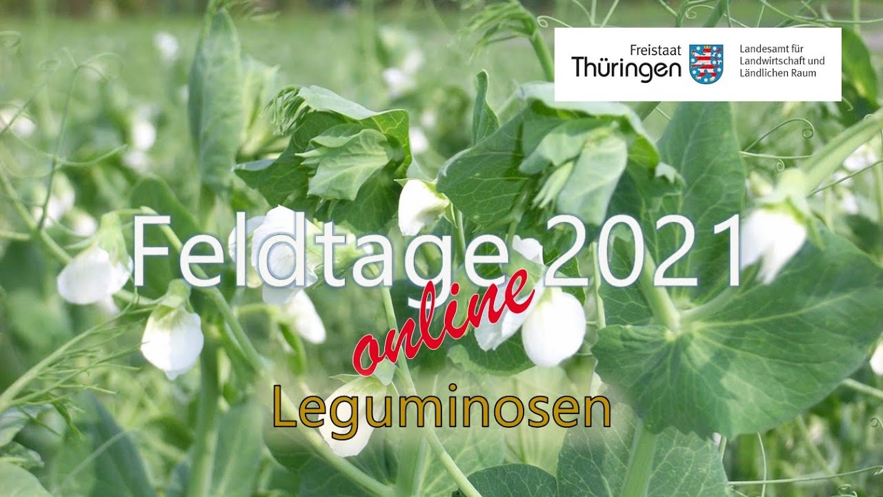 Feldtag Leguminosen 2021