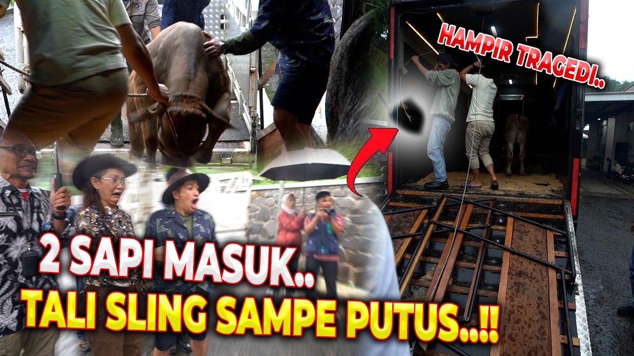 WADUH.. MAS HERMAWAN NYALIP.. NAKSIR SAPI YANG GW INCER..!!