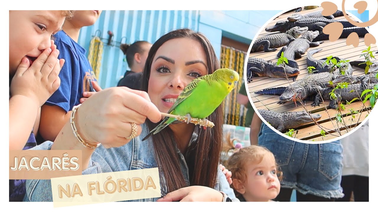JACARÉS E PASSARINHOS POR TODA PARTE! - FLÁVIA CALINA