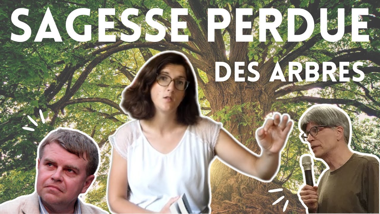 Renoncer à la Nature, le prix à payer selon Kivirähk et Powers 🌳 Les arbres dans la littérature #3/3