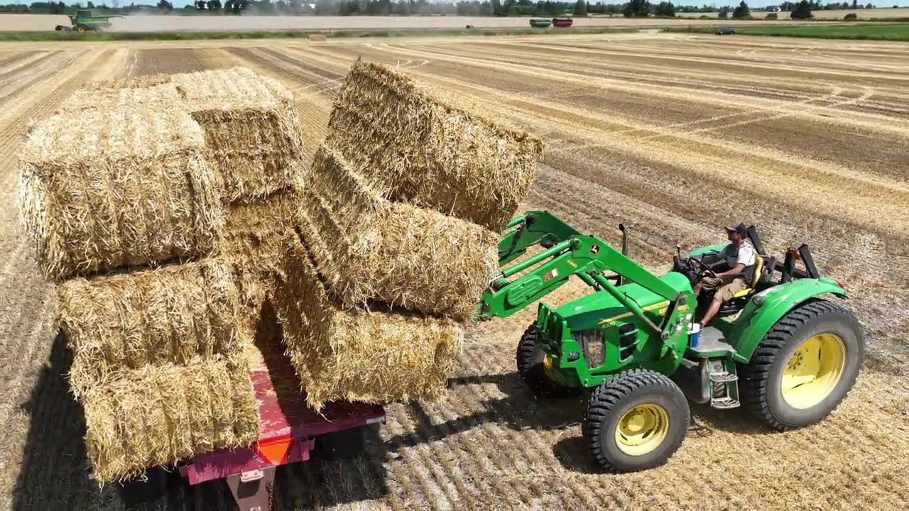 CANADIAN FARMER - STRAW - From the land and back again. The HARVEST-the USAGE- the RE-CYCLE.