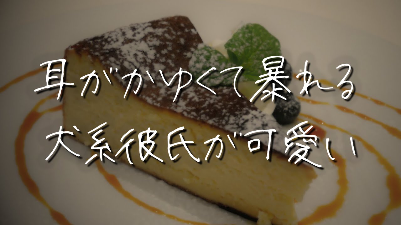 【女性向け】耳かきのしすぎで医者に怒られた年下犬系彼氏のイヤイヤ期が可愛い【シチュエーションボイス】 #asmr