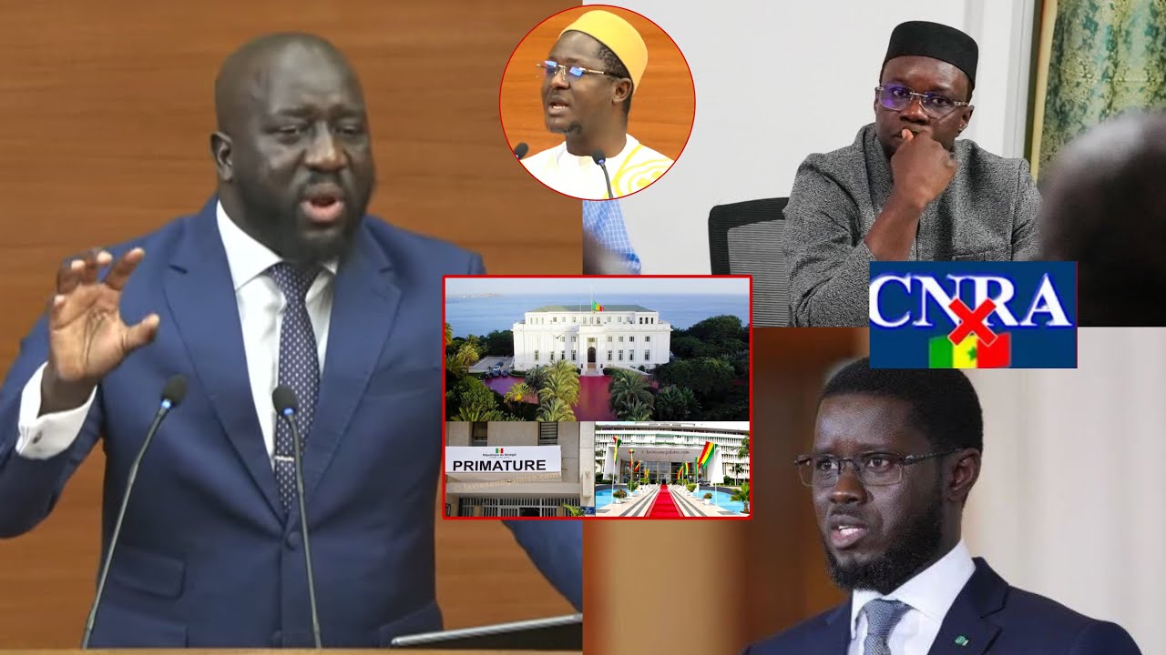 «Loi bi Sonko lakoy diokh wala Diomaye ? Alioune Sall répond Cheikh Bara ndiaye et dit tout 