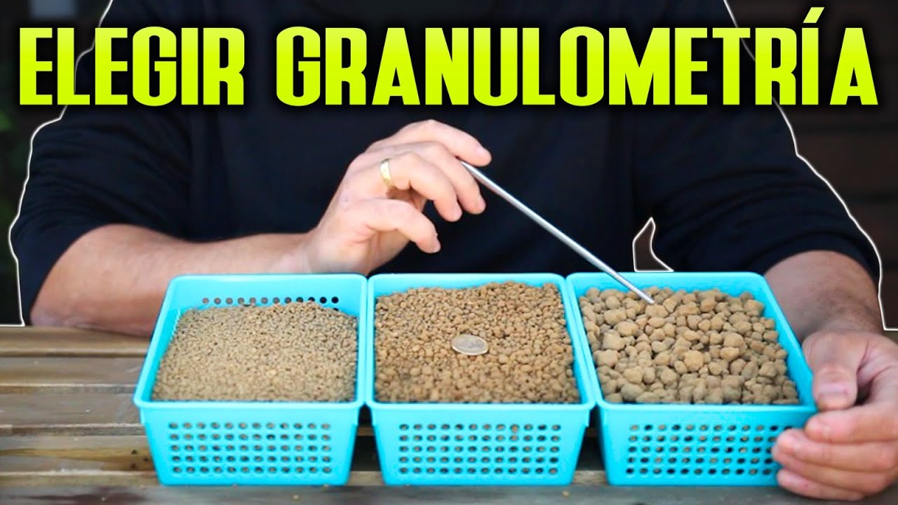 Granulometrías de sustrato para Bonsai