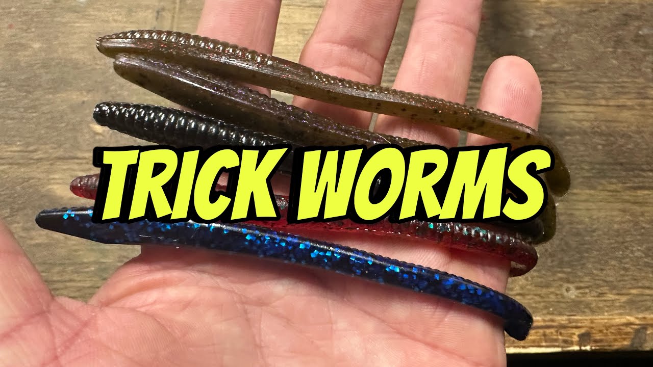 Little Known Techniques For Fishing The Famous Zoom Trick Worm…