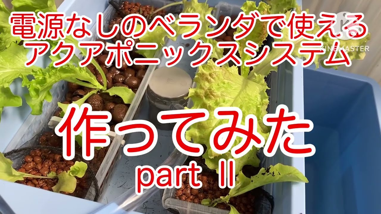 電源のないベランダで使えるアクアポニックスシステムを作ってみた　PART Ⅱ