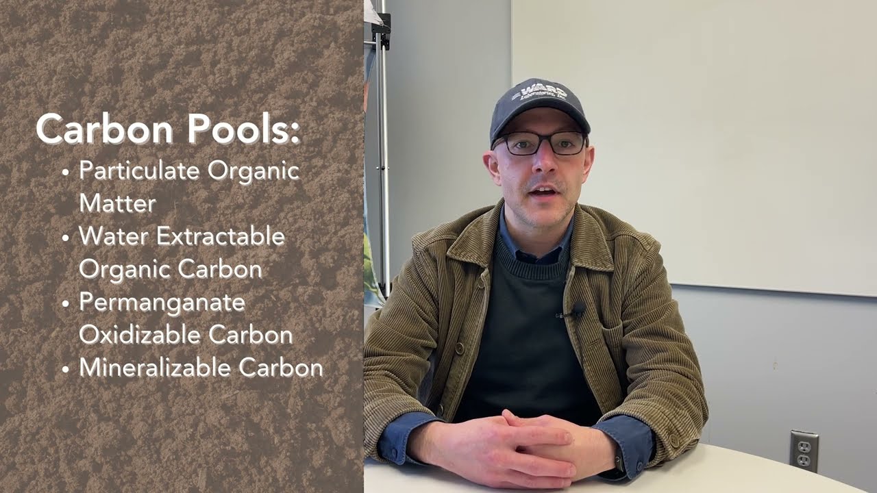 Active Carbon