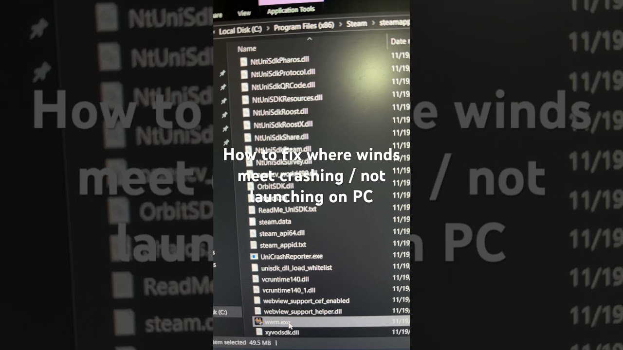 How to fix where winds meet crashing / not launching on PC