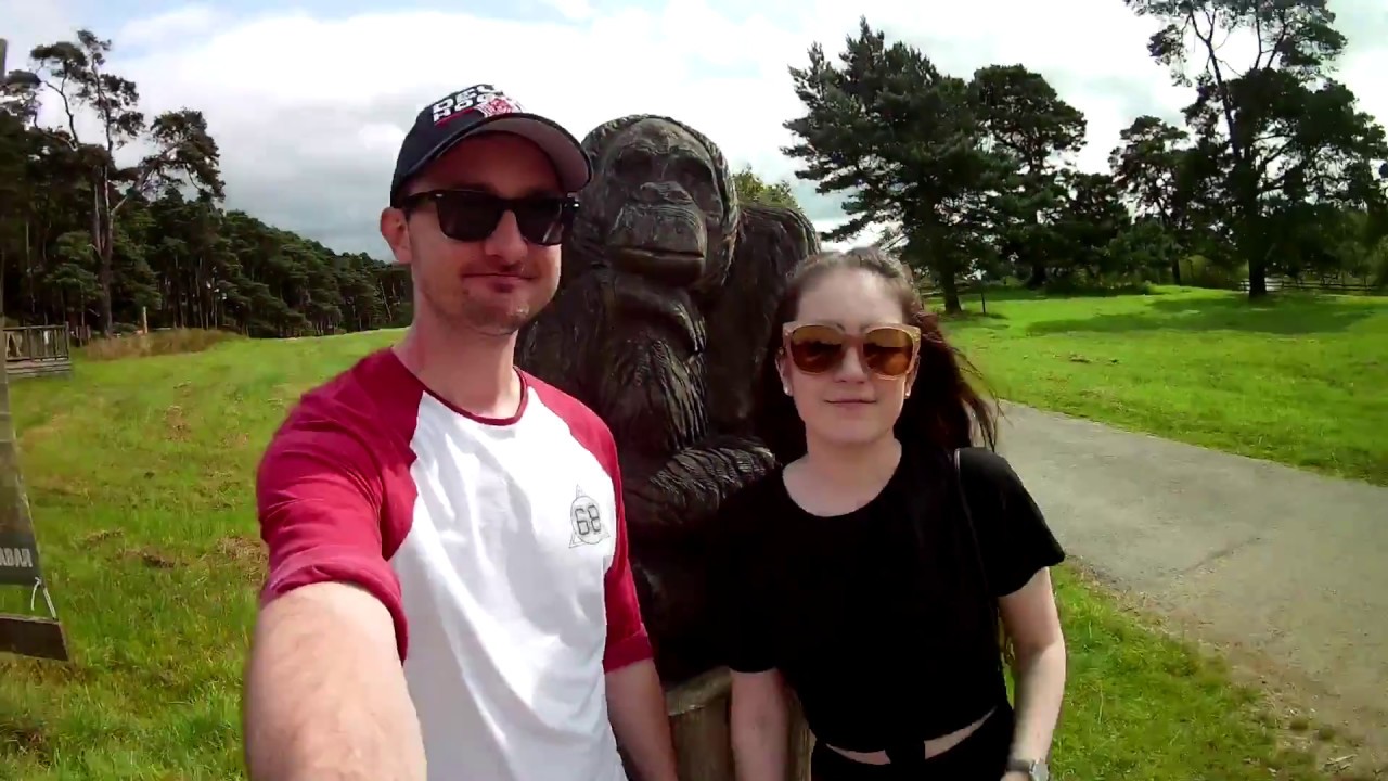 High Ropes | Go Ape Margam Park