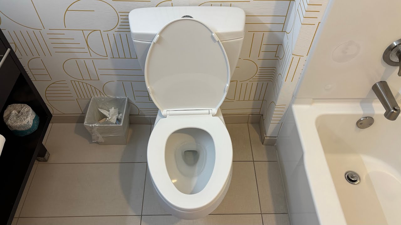 RARE 2016 Toto Rowan Toilet.