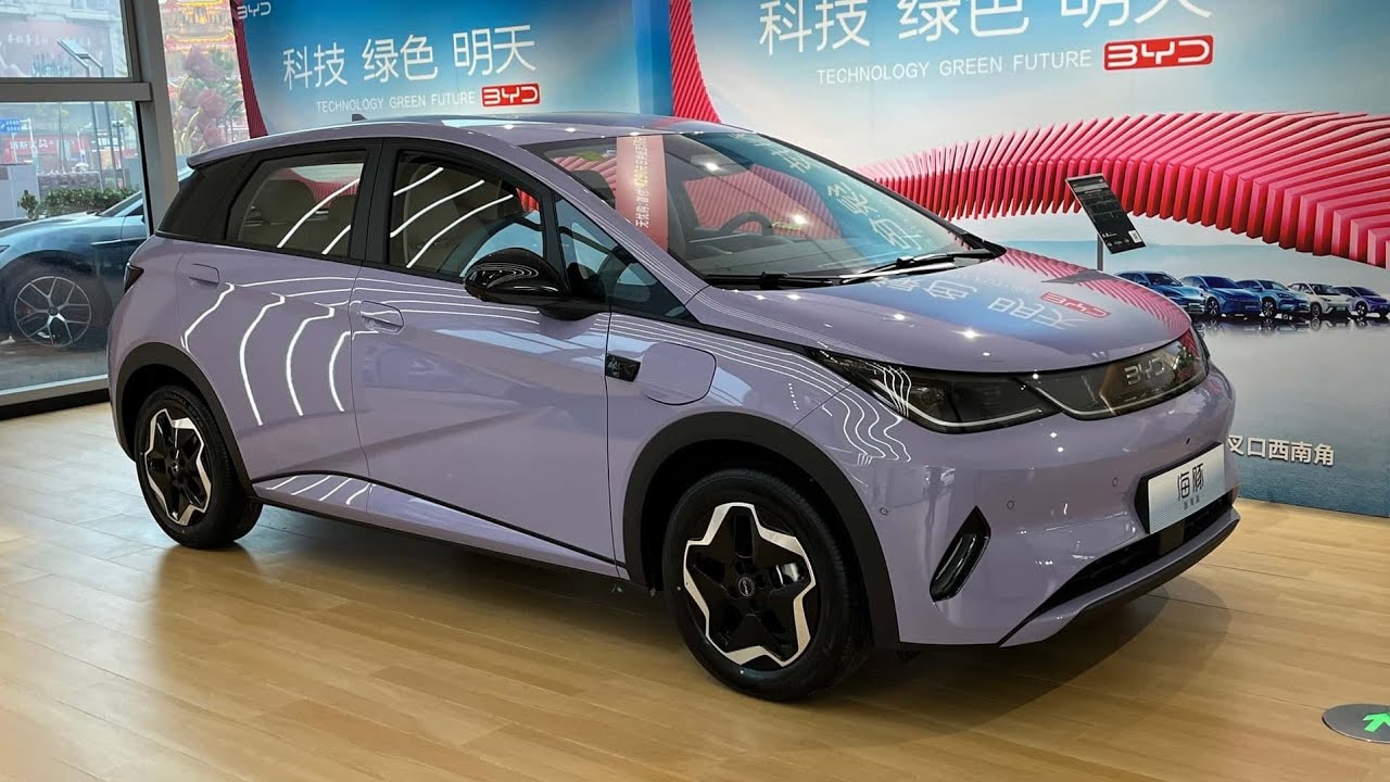 BYD Dolphin ! Novo! O que esperar no Brasil