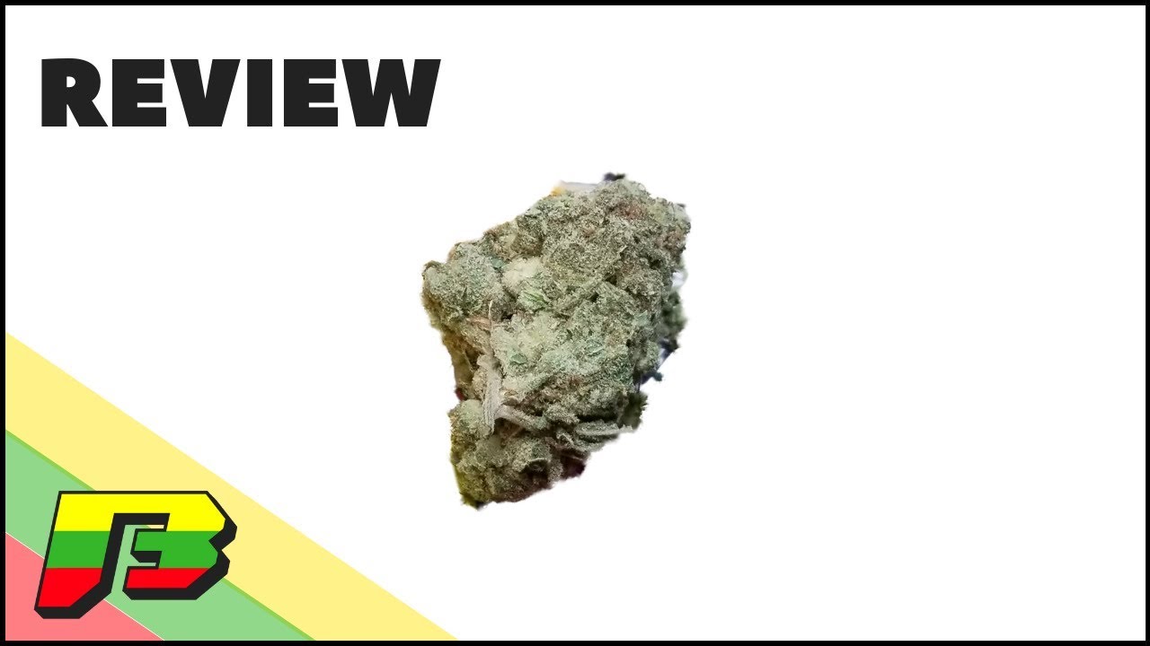 Gorilla Glue #4 Weed Review | BammerTV