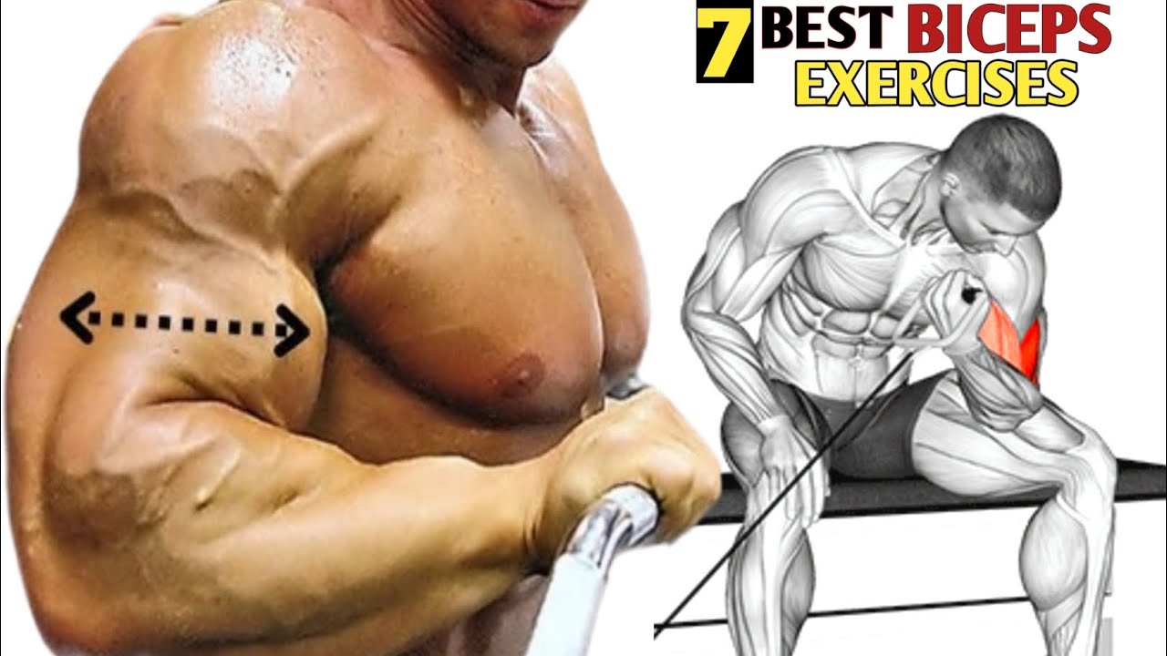 7 Best Exercises Bigger Biceps At Gym  - Biceps Workout