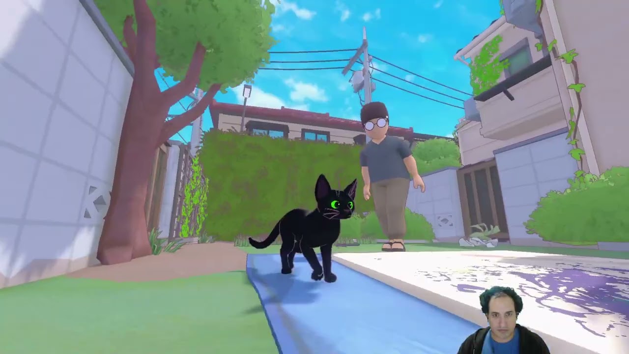 Little Kitty, Big City pt 1