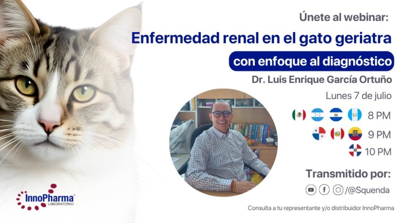 Enfermedad renal en el gato geriatra: enfoque al diagnóstico – Dr. Luis Enrique García Ortuño