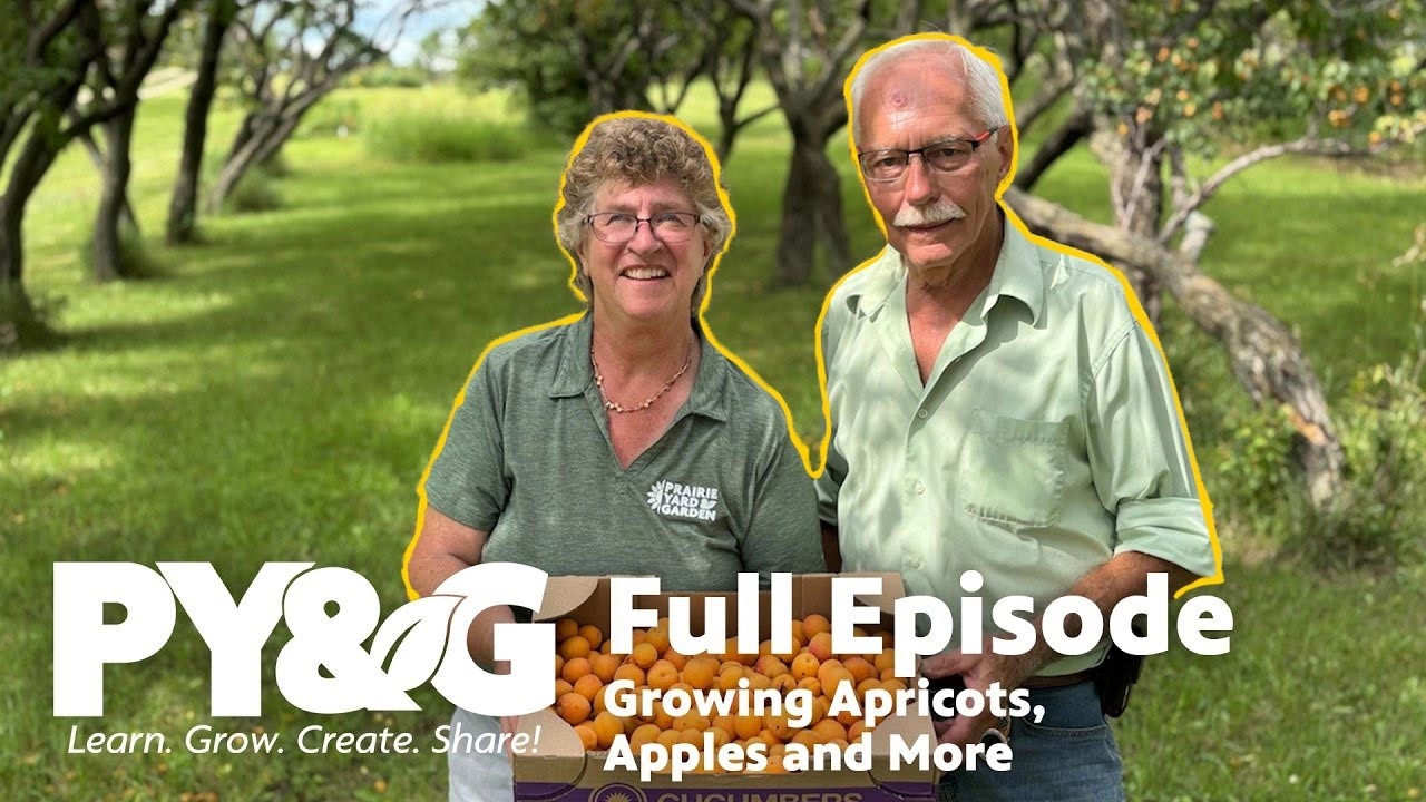 Growing Apricots, Apples and More | Prairie Yard & Garden Season 39, Episode 9