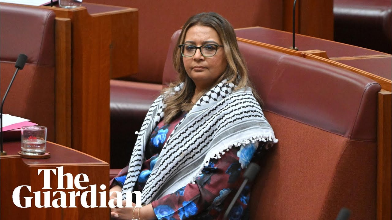 Senate passes Labor motion sanctioning Greens senator Mehreen Faruqi for Gaza sign protest