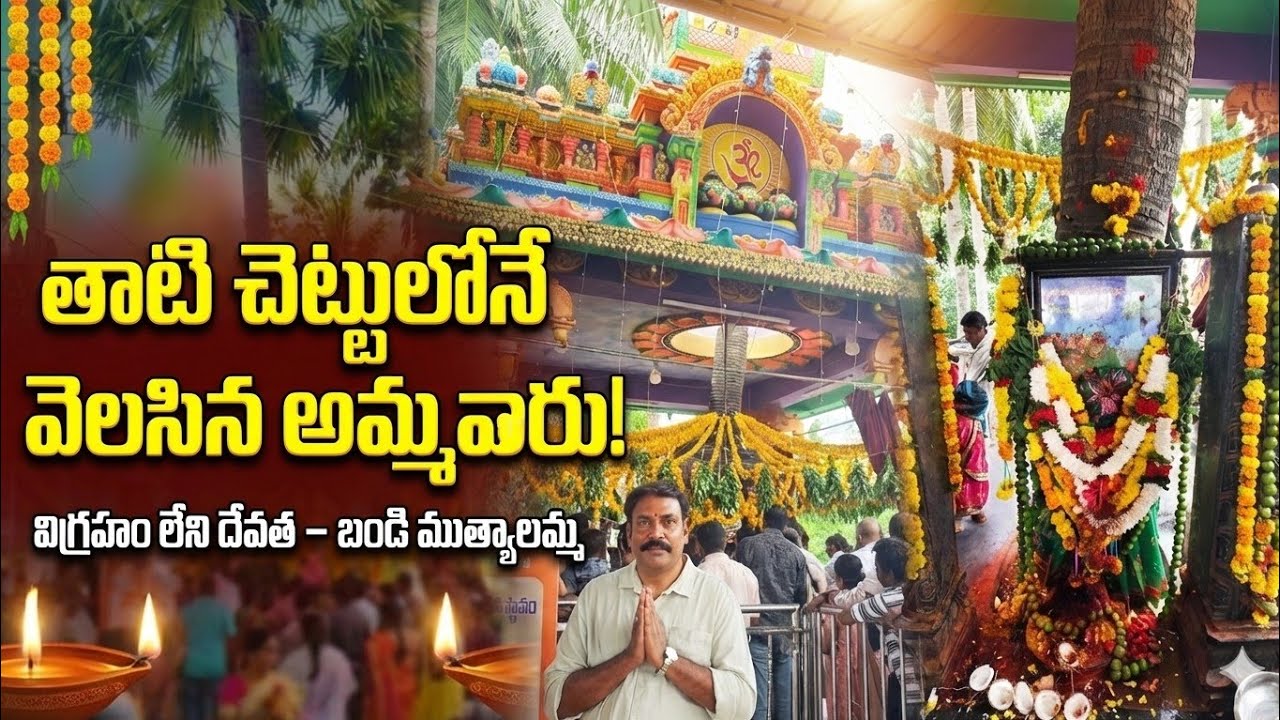 తాటి చెట్టులో వెలసిన బండి ముత్యాలమ్మ తల్లి | Bandi Muthyalamma Temple | Konaseema Kaburlu