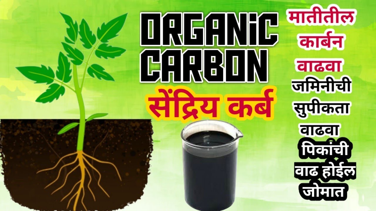 जमिनीचा सेंद्रिय कर्ब (organic carbon) वाढवा फक्त 35 रुपयांत /विज्ञानसंत मा. अंकुश पाटील तंत्रज्ञान 