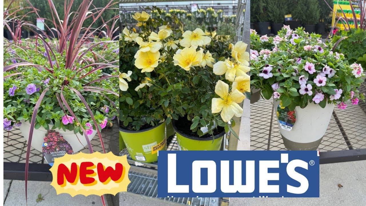 Лучшие новинки растений и товары со скидкой от Lowes к весне | Как сделать свой сад красивым?