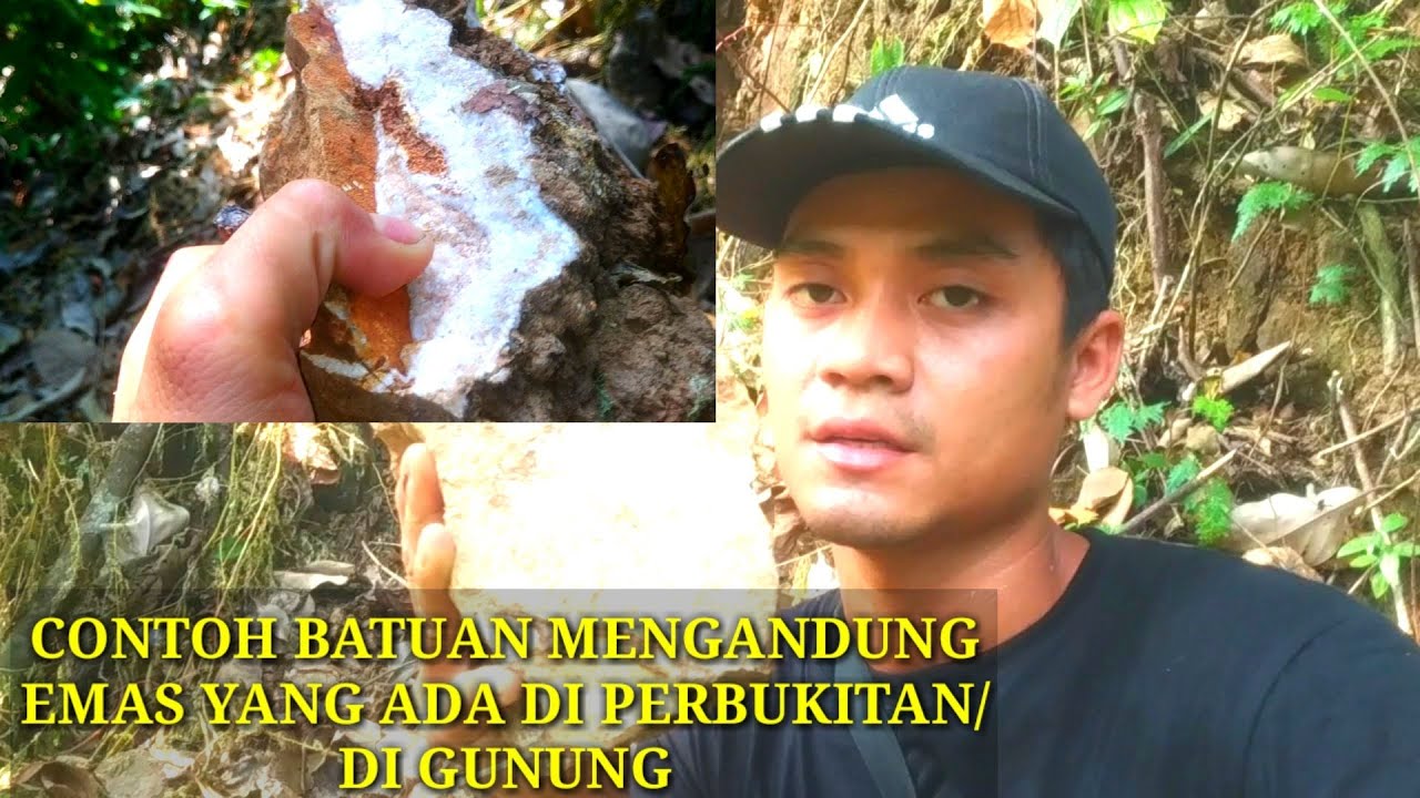 CONTOH BATUAN EMAS DI PERBUKITAN / PEGUNUNGAN
