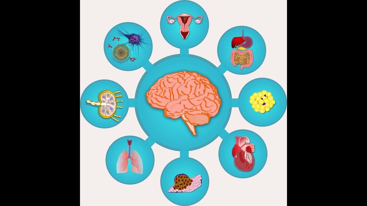 Pierre-Marie Lledo - Brain-Body Interactions