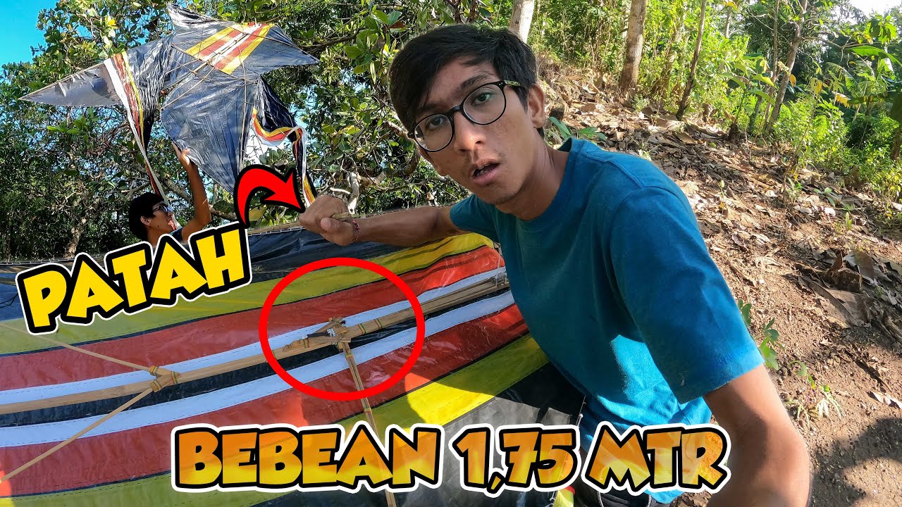 PATAH ❗DITERJANG ANGIN BADAI | BEBEAN 1,75 METER...