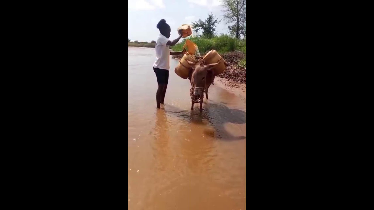FETCHING WATER WITH A DONKEY -VILLAGE LIFE