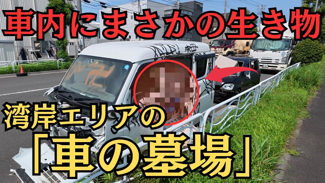 放置車から飛び出す動物！人気の都心になぜか100台以上捨てられていた…【車の墓場】