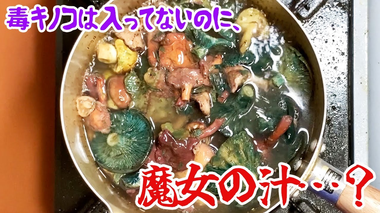 おかしいな？毒キノコは入ってないのに、魔女の汁？