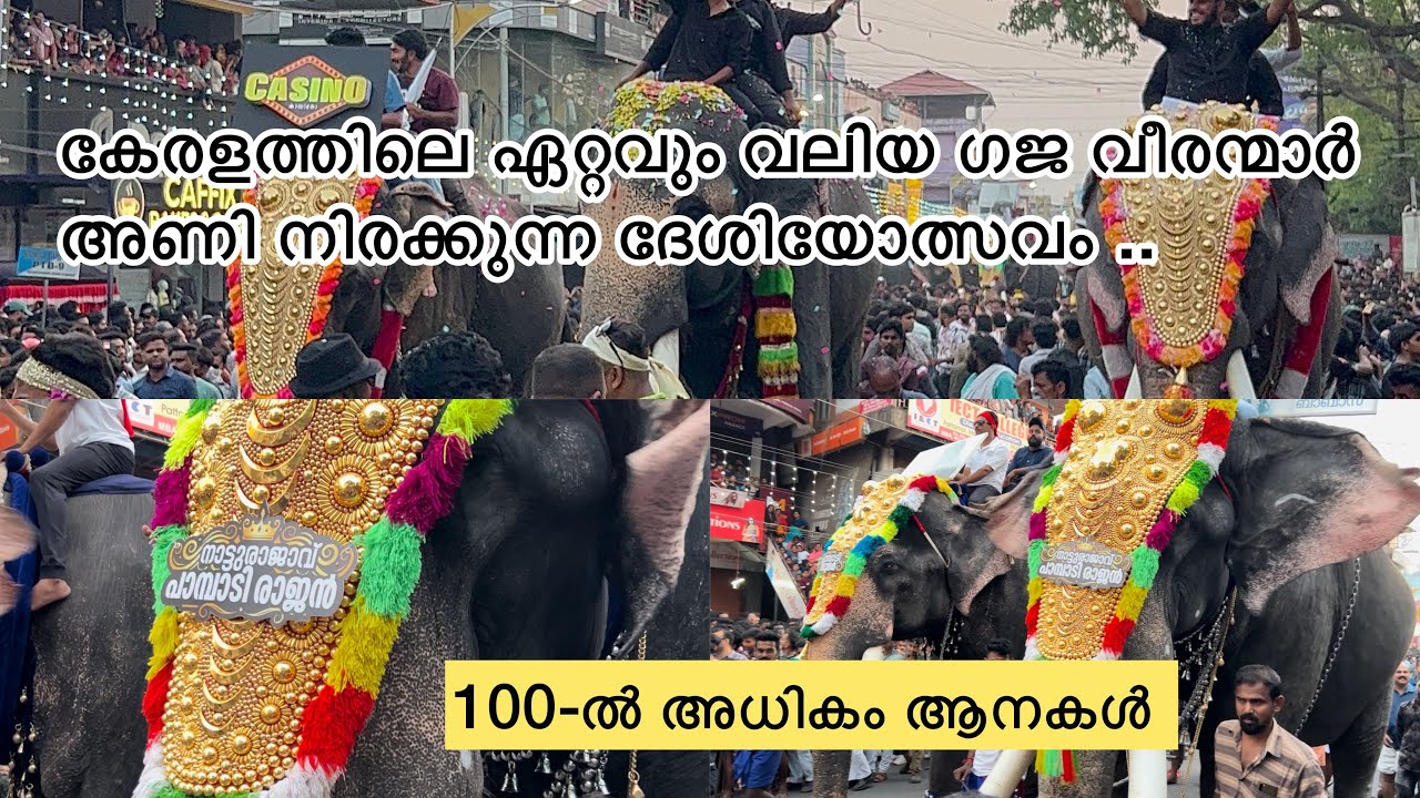 Pattambi Nercha 2023|കേരളത്തിലെ ഏറ്റവും വലിയ ഗജവീരന്മാരെ അണിനിരത്തികൊണ്ടുള്ള പട്ടാമ്പി ദേശീയോത്സവം..