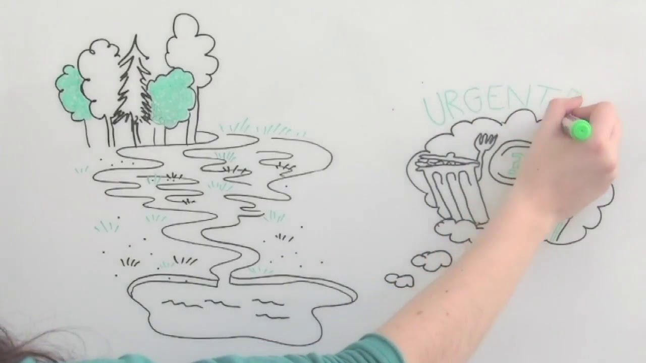 Ecological Integrity