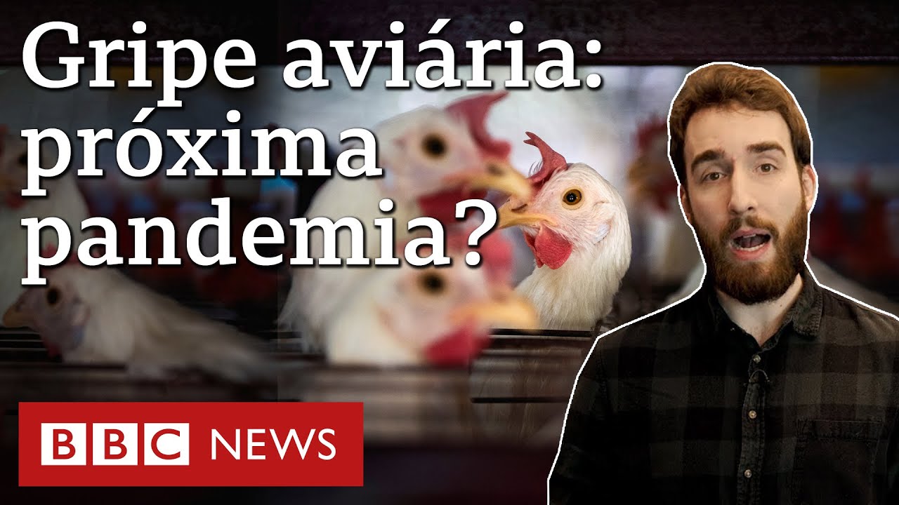 Por que vírus H5N1 preocupa cientistas e pode virar pandemia