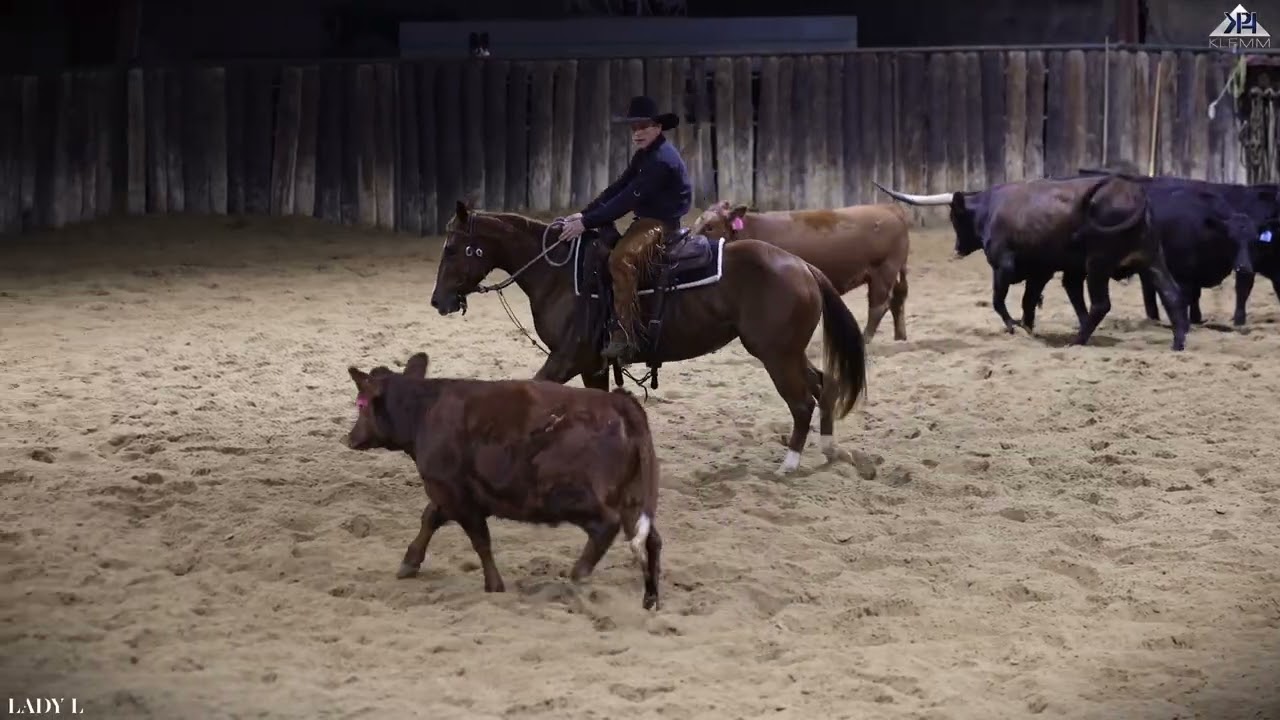 Montgomery - 2023 Sorrel Mare