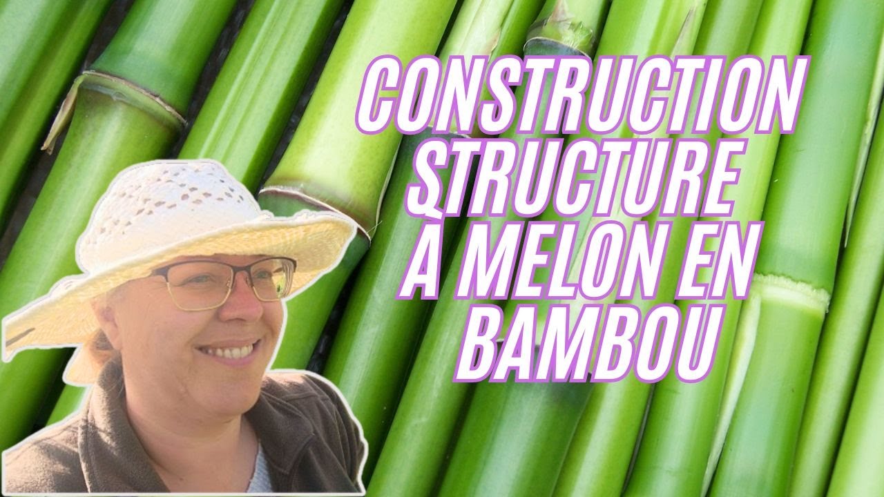 Construction d'une structure en bambou pour les plantes grimpantes  femme vivant à la campagne