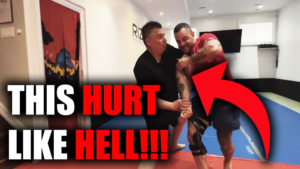 This Cop Proves Aikido Works!!! And It Is PAINFUL!!!