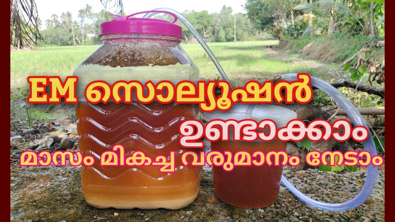 EM സൊല്യൂഷൻ ഉണ്ടാക്കുന്നതെങ്ങനെ / em  ഉണ്ടാക്കി മാസം 30000 രൂപ സമ്പാദിക്കാം /How to make EM solution
