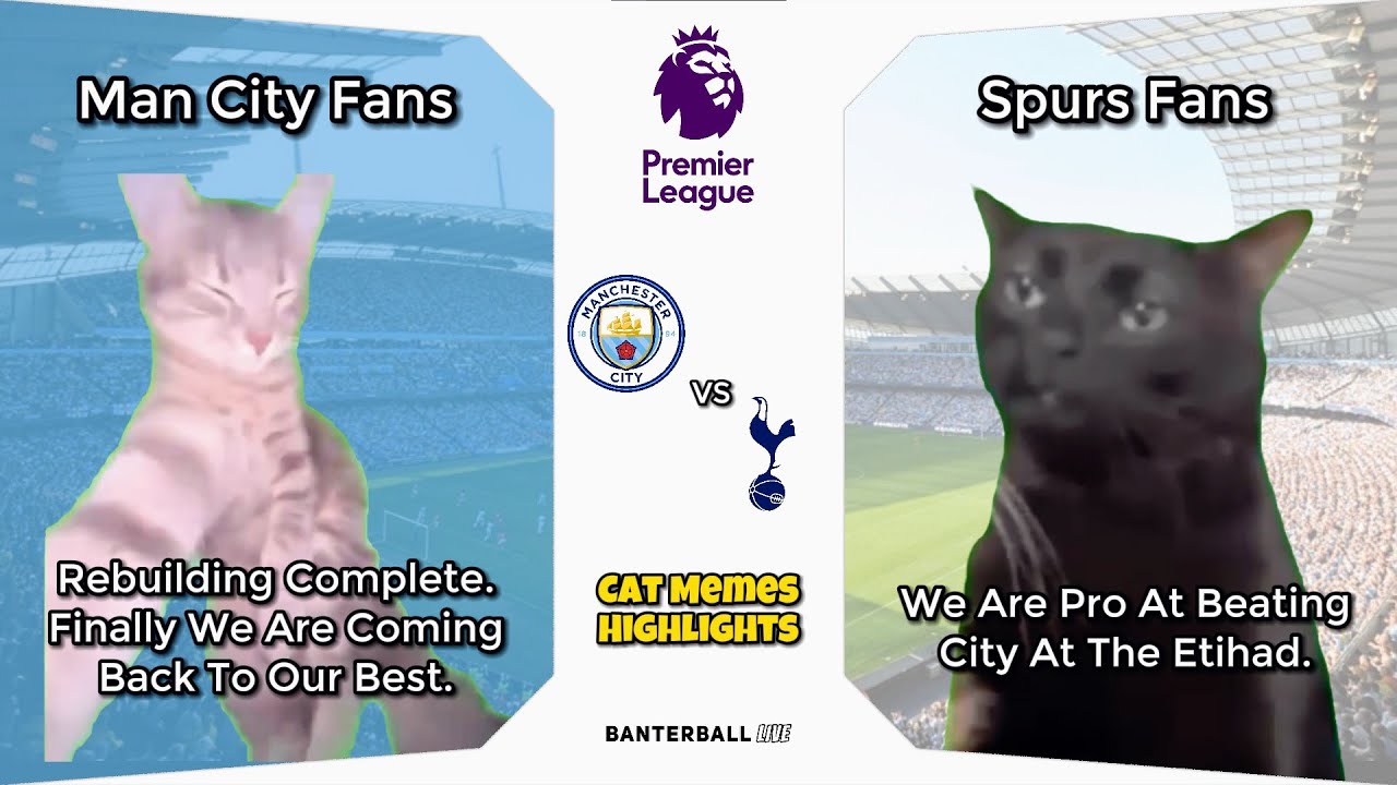MAN CITY 0 - 2 TOTTENHAM | Cat Memes HIGHLIGHTS | Premier League 2025/26