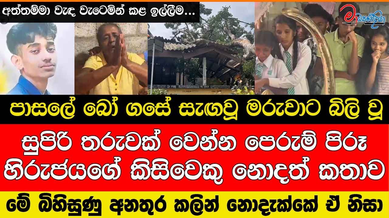 පාසලේ බෝ ගසේ සැඟවූ මරුවාට බිලි වූ සුපිරි තරුවක වෙන්න පෙරුම් පිරූ හිරුජයගේ කිසිවෙකු නොදත් කතාව