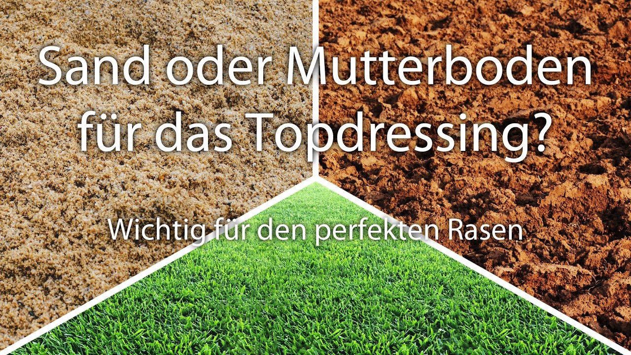 Topdressing: Sand oder Mutterboden, Vor- und Nachteile? Das richtige Material für deinen Rasen